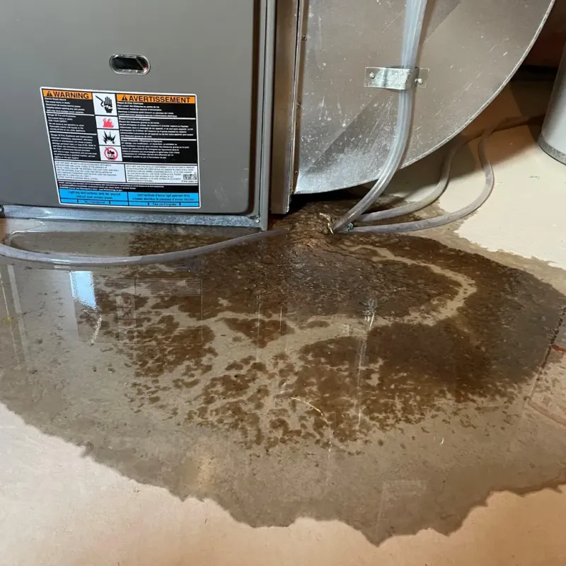Appliance Leak Cleanup in Neosho, MO