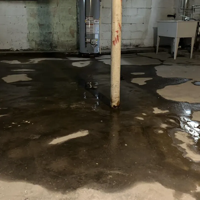 Emergency Water Extraction And Removal in Neosho, MO